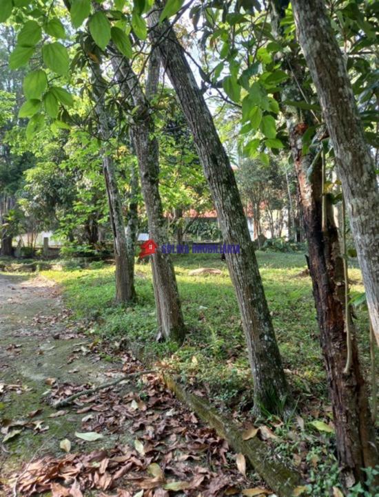 sitio-venda-sitio-comercial-em-otima-localizacao--1064614