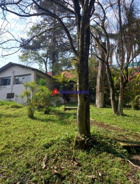 sitio-venda-sitio-comercial-em-otima-localizacao--1064625