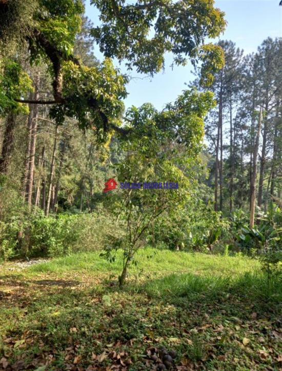 sitio-venda-sitio-comercial-em-otima-localizacao--1064627