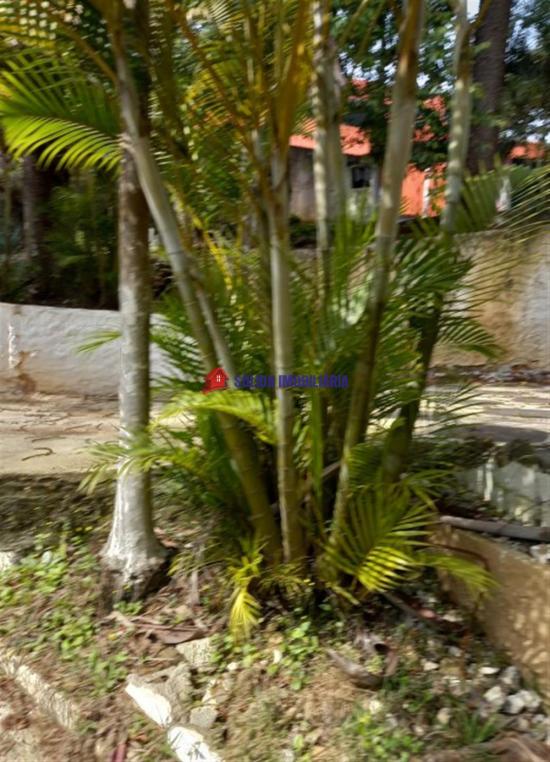 sitio-venda-sitio-comercial-em-otima-localizacao--1064628