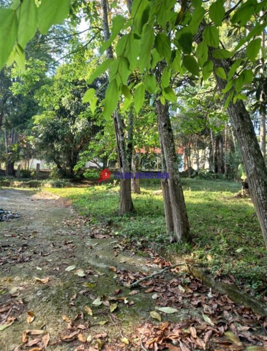 sitio-venda-sitio-comercial-em-otima-localizacao--1064620