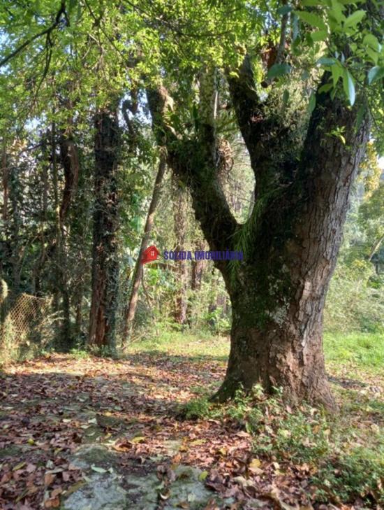 sitio-venda-sitio-comercial-em-otima-localizacao--1064622