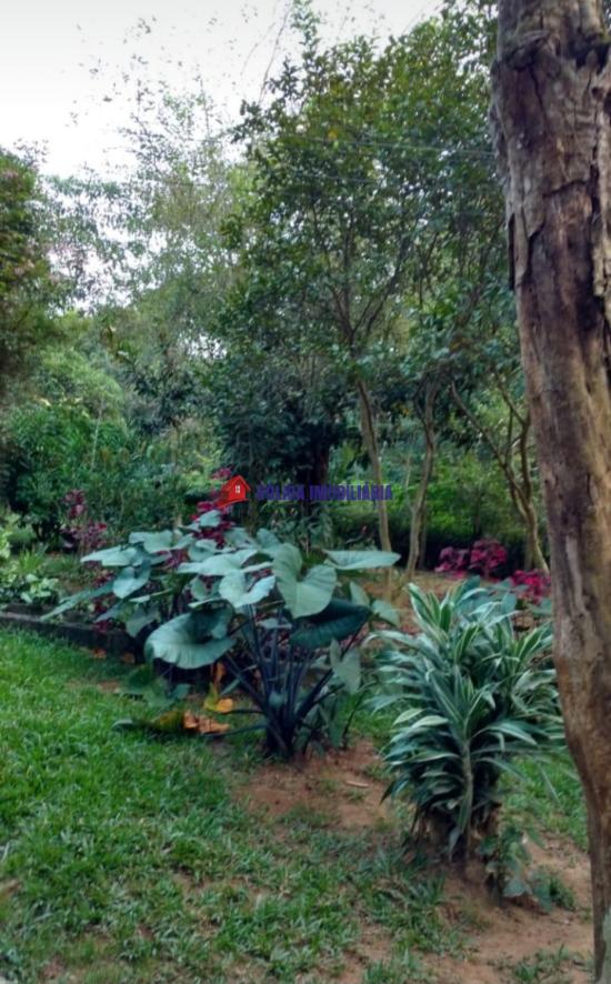 chacara-venda-linda-chacara-otima-oportunidade--1035103